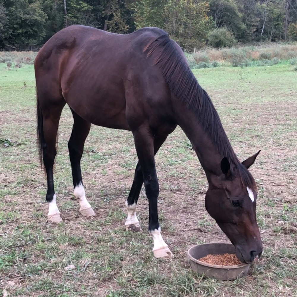 Meet your Posher, Mandy